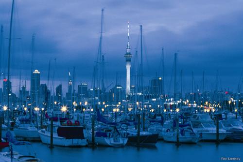 Auckland city view from Westhaven, New Zealand Photo